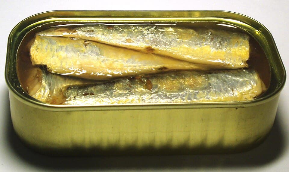 Sardines en boite x12
